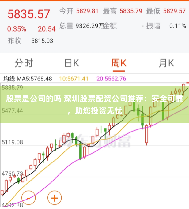 股票是公司的嗎 深圳股票配資公司推薦：安全可靠，助您投資無憂