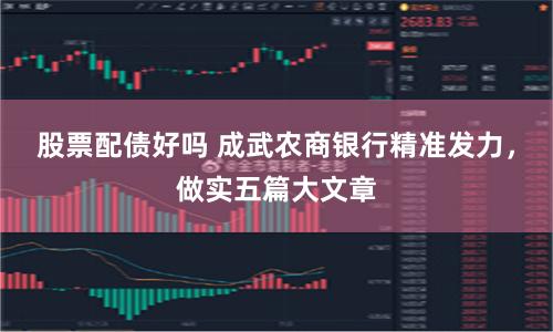 股票配債好嗎 成武農商銀行精準發力，做實五篇大文章