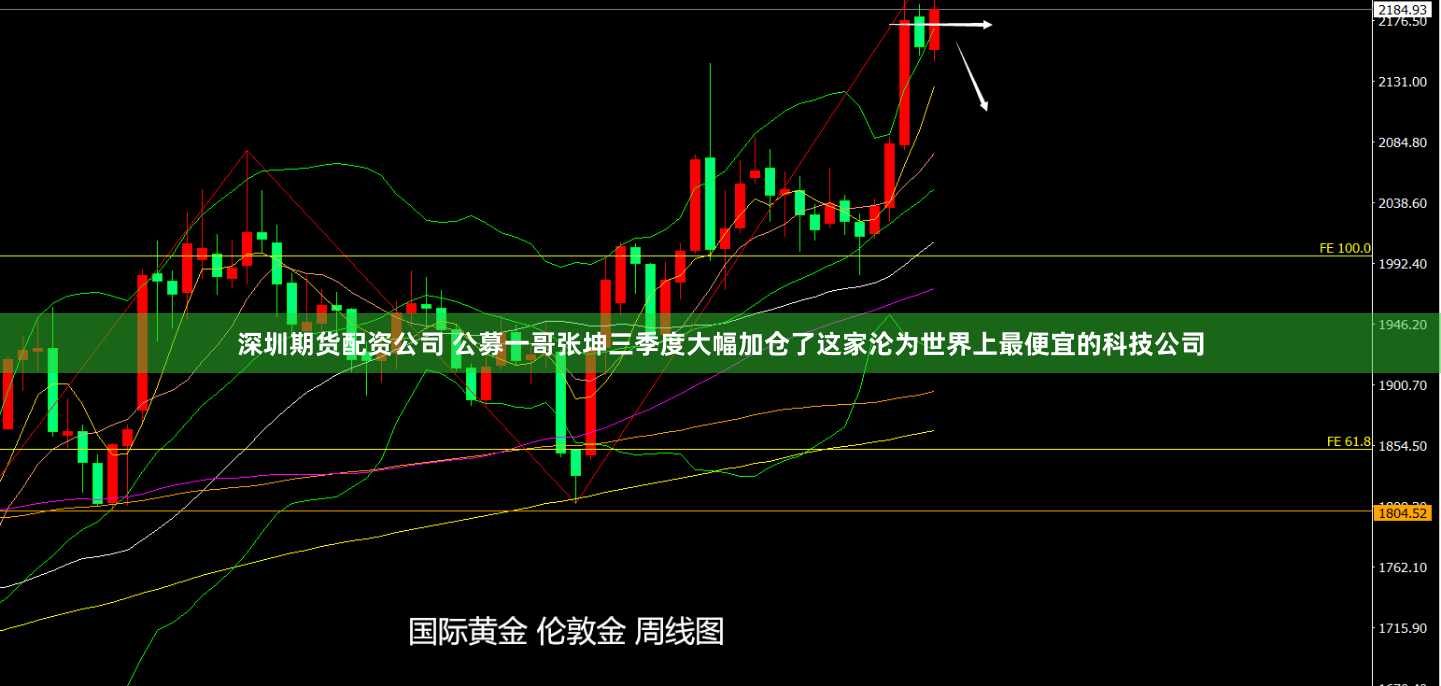深圳期貨配資公司 公募一哥張坤三季度大幅加倉了這家淪為世界上最便宜的科技公司