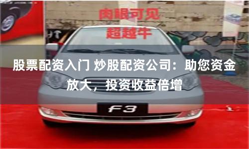 股票配資入門 炒股配資公司：助您資金放大，投資收益倍增