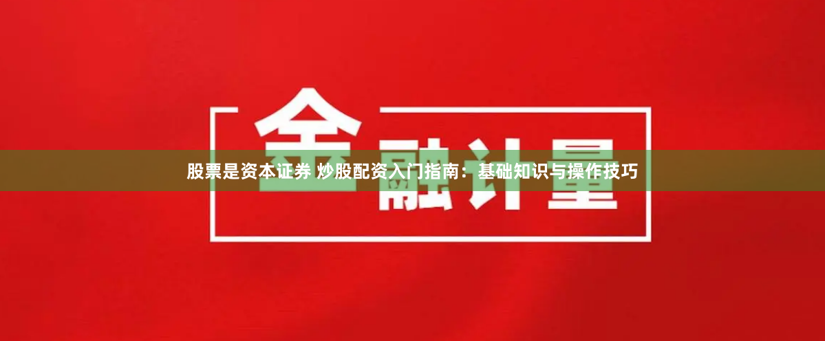股票是資本證券 炒股配資入門指南：基礎知識與操作技巧